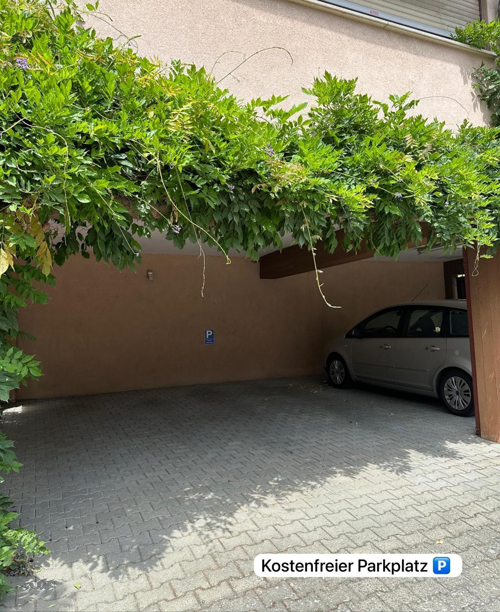 Deluxe Apartment 2 - Ruhe Oase - 1Zkb Balkon - Parkplatz Bad Nauheim Dış mekan fotoğraf